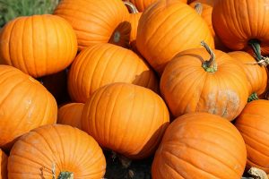 pumpkins-457716_1280