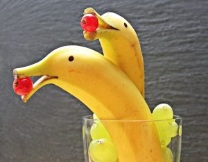 delfin-bananas-1737840_1920