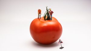 tomato-546989_1920